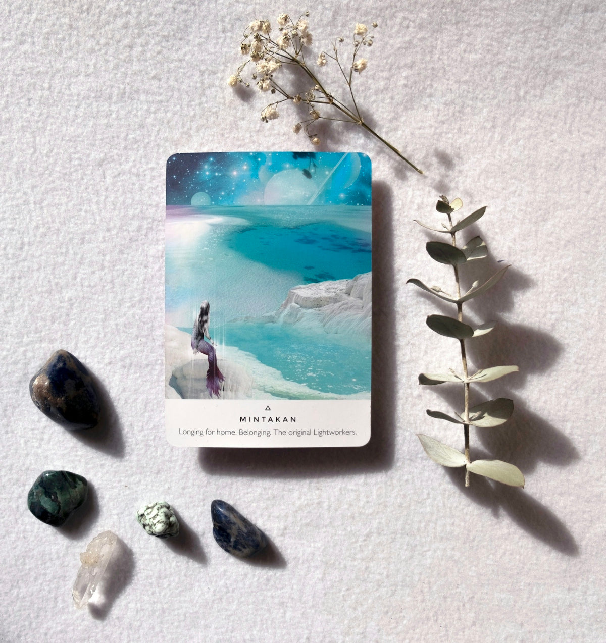 Tarot card with crystals and dried flowers